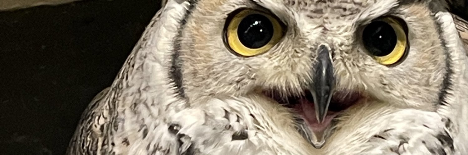 fraderica_'s profile banner image