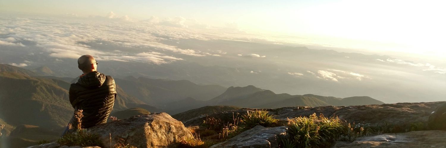 wendelbra's profile banner image