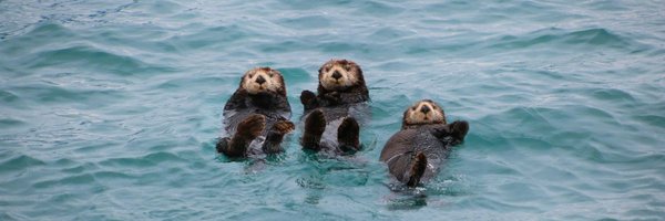 am0rym Profile Banner