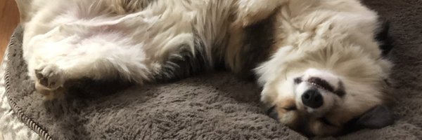 xanderpero Profile Banner