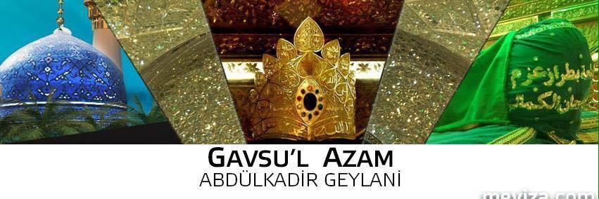 Meviza banner