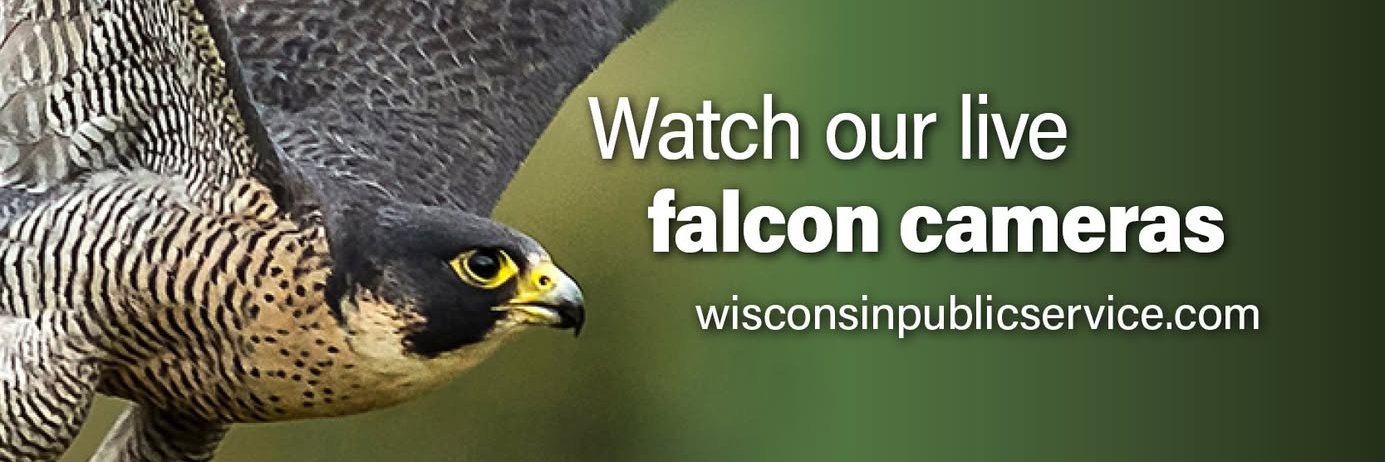 Wisconsin Public Service banner