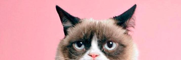 LisaTehrani's profile banner image