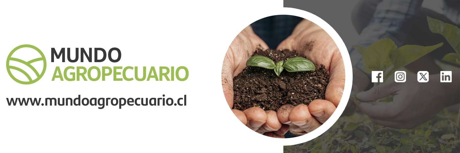 Mundo Agropecuario banner
