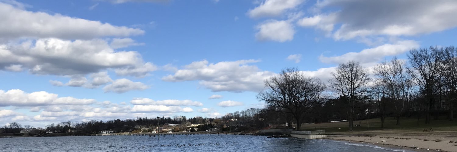 Thomas Lin Li banner