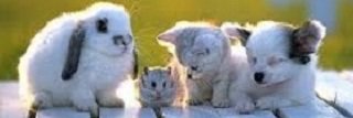 dobu_wa's profile banner image