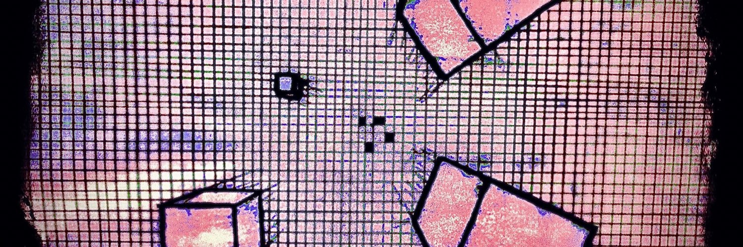 minimalistx.btc 🟧 aka MATT 🤙🌊🏄‍♂️ banner