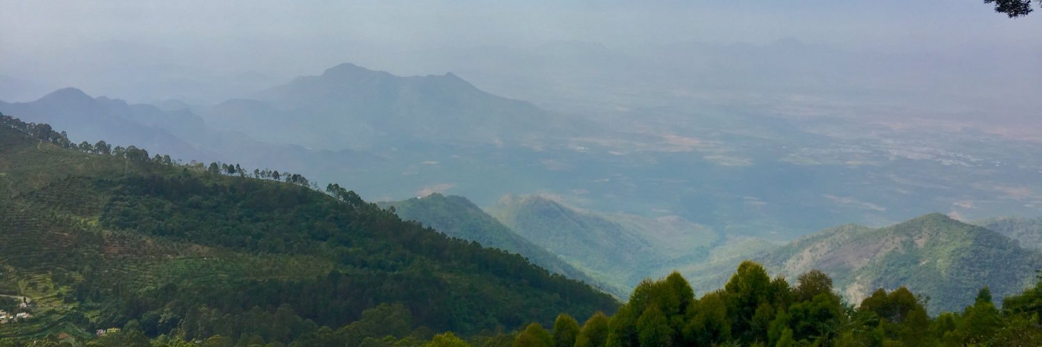 sara_gammon's profile banner image