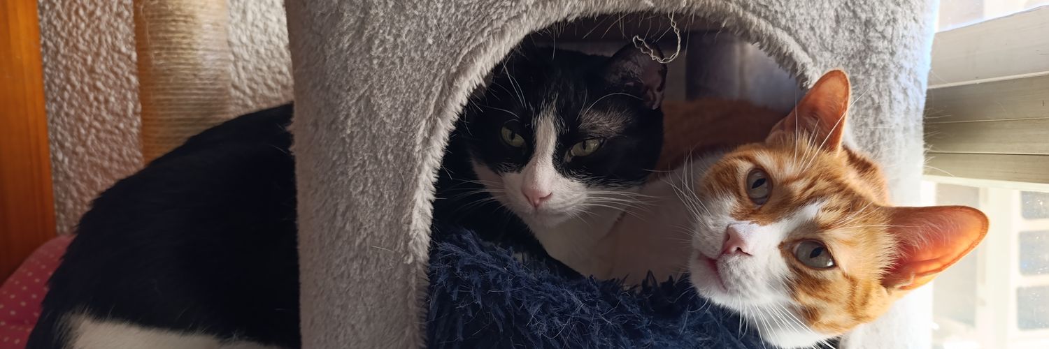 ⚔️Skyripa ⚔️ banner