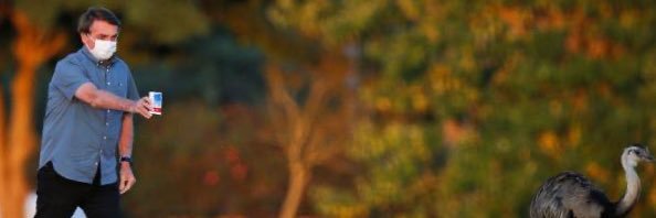 andreneppel's profile banner image