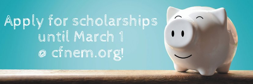 CF for Northeast MI banner