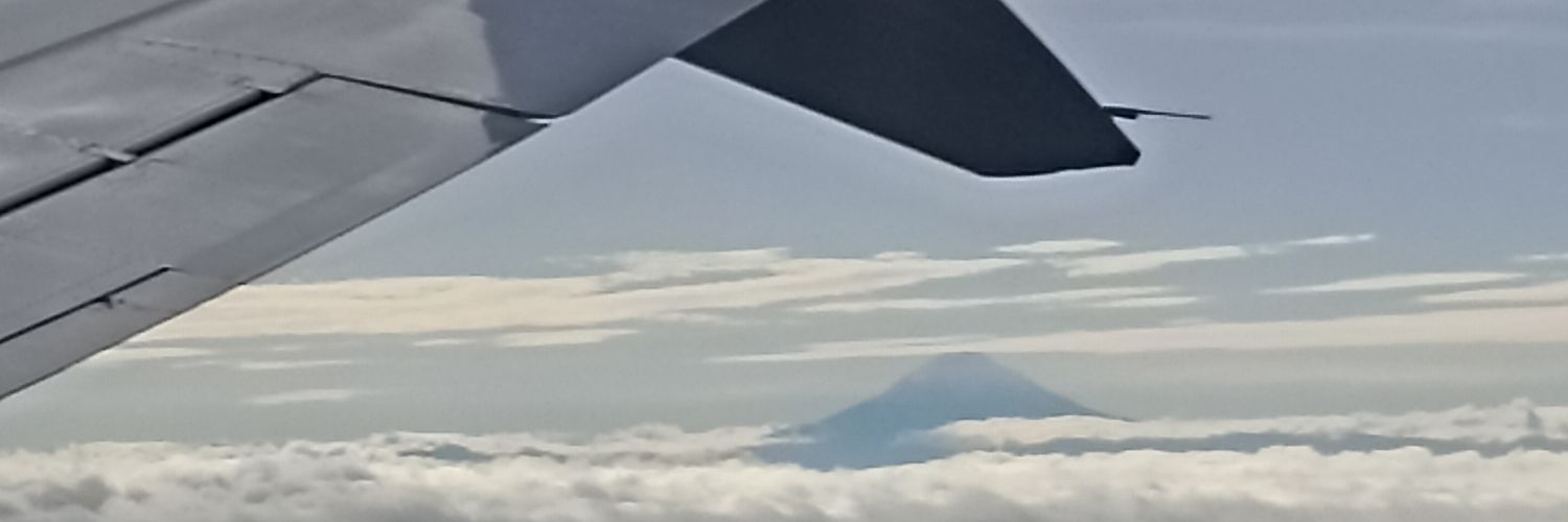 Dr. Marcos Palacio Rojas PhD banner