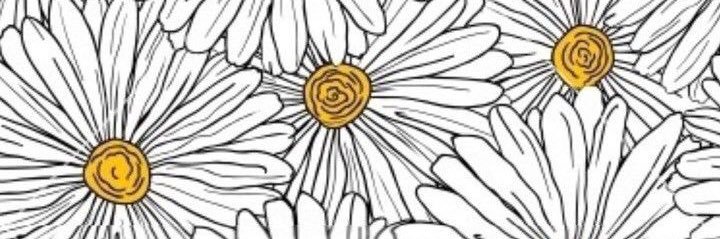 maguifloresp's profile banner image