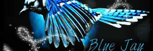 BlueJayMitchell's profile banner image