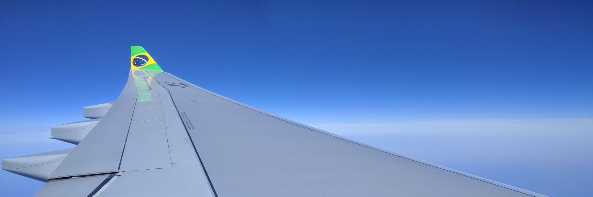 elbininho. banner