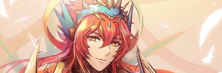RBraider banner