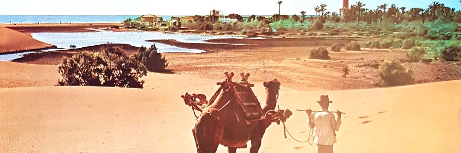 luciansite's profile banner image
