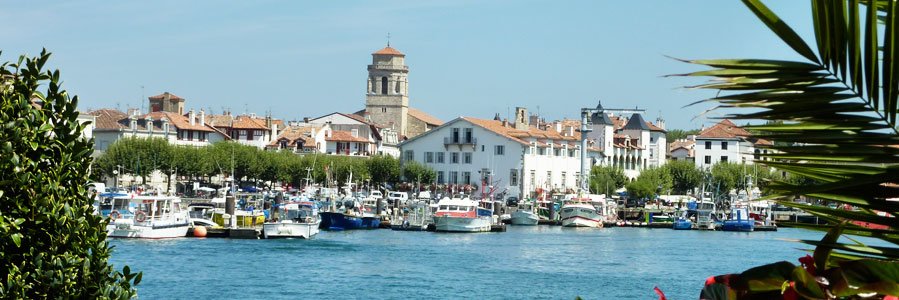 thibaultgosse's profile banner image
