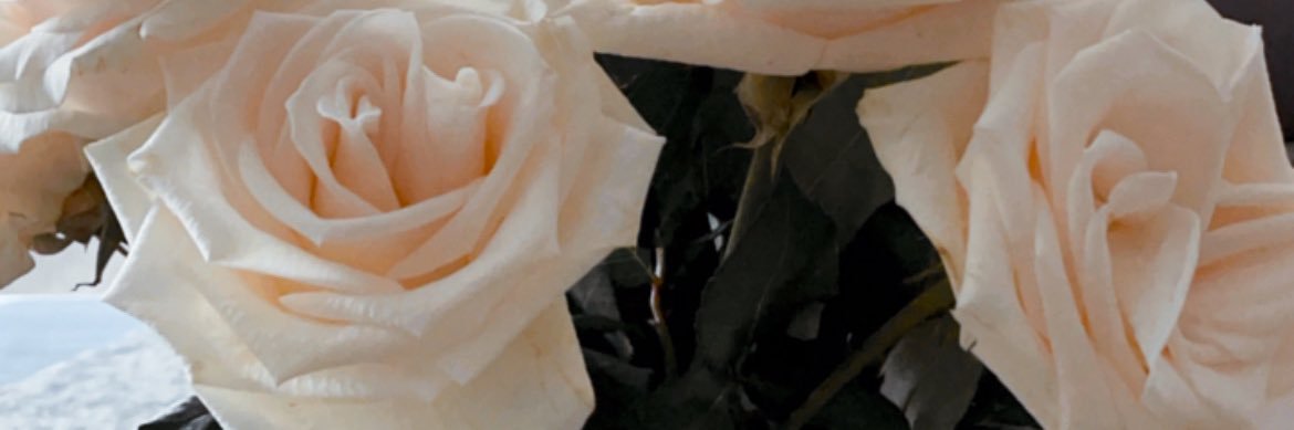 AyoKB's profile banner image
