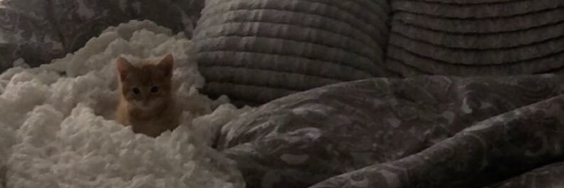 lucyburns31_'s profile banner image