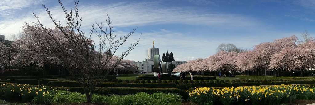 Sen. Robert Wagner banner