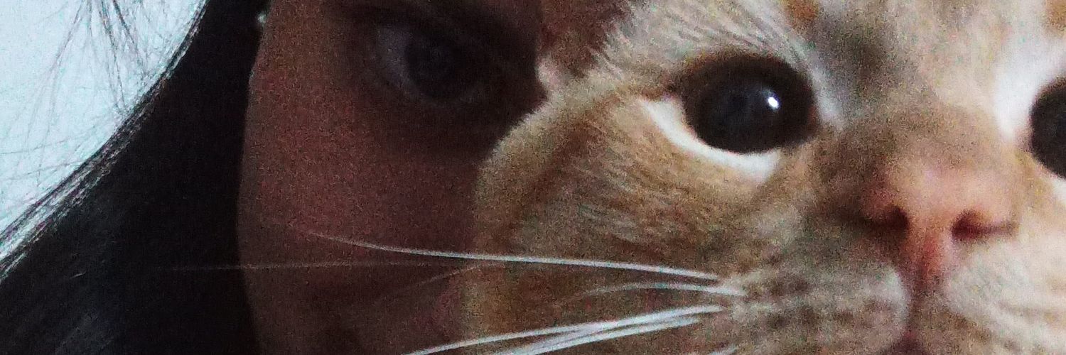 FJRPedersen's profile banner image