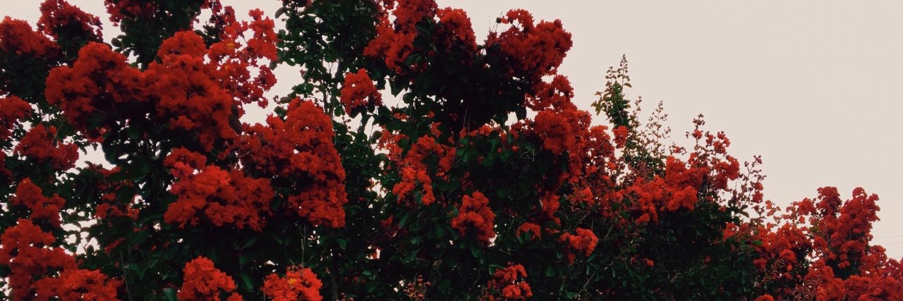 GoelmacomG's profile banner image