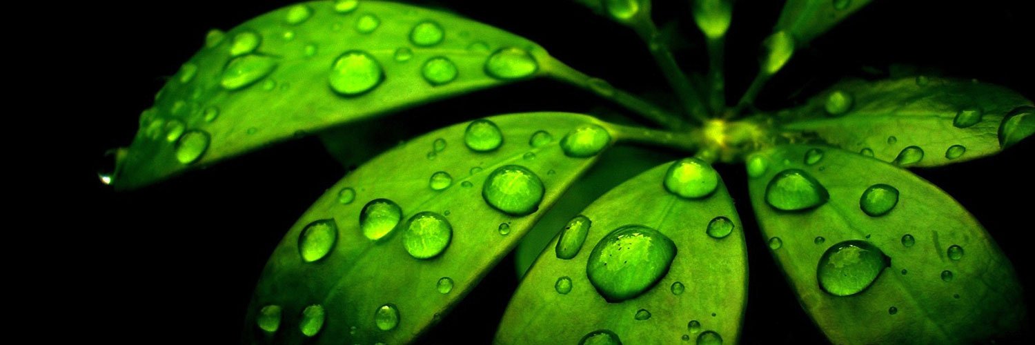 💚 #ForumEcolo banner