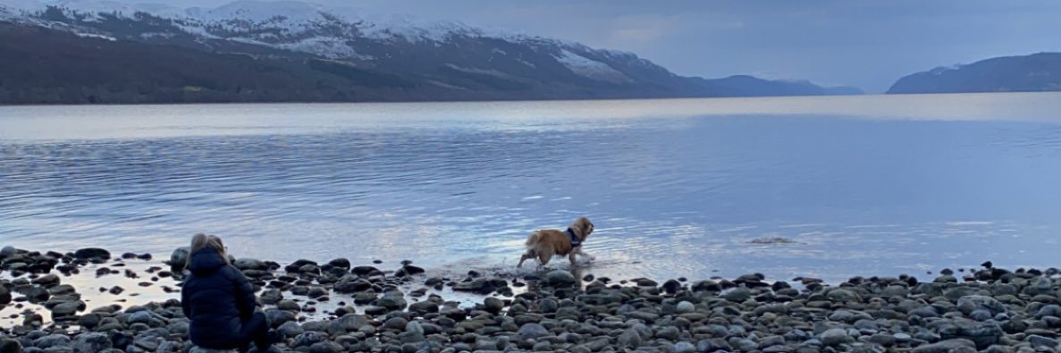 CameronMackay96's profile banner image