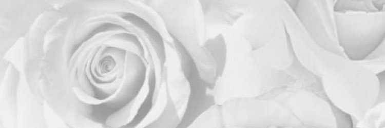 Jessicar_95's profile banner image