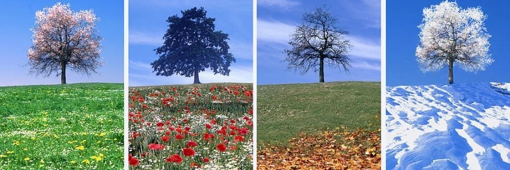 ЛАРИСА РУСАКОВА banner