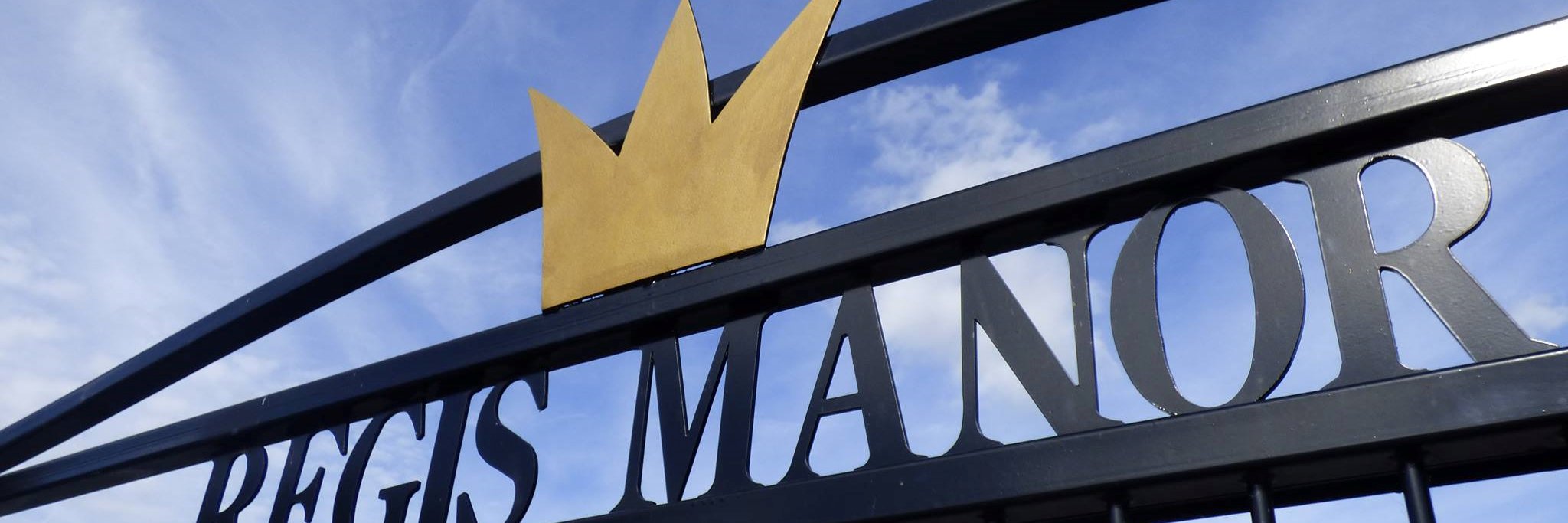 RegisManor's profile banner image