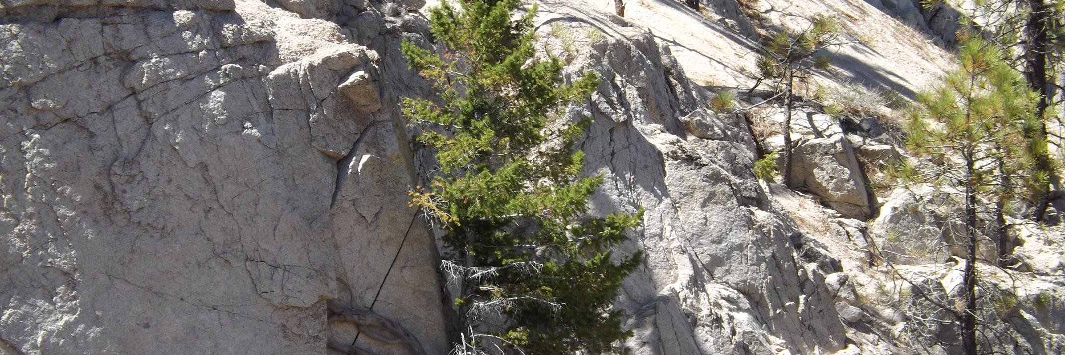Acridgerunner banner