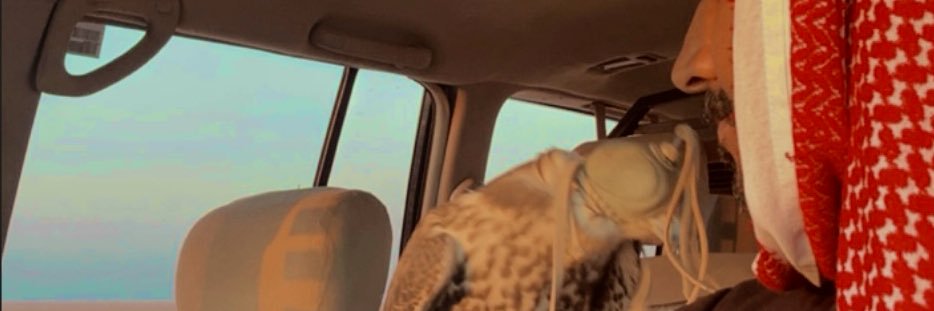 1989SALM's profile banner image