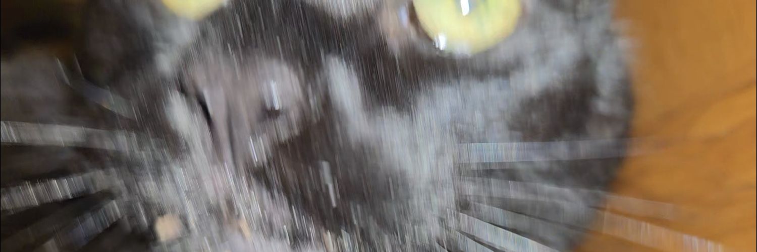 Soonfald 🏳️‍🌈🏳️‍⚧️ (trans arc) banner