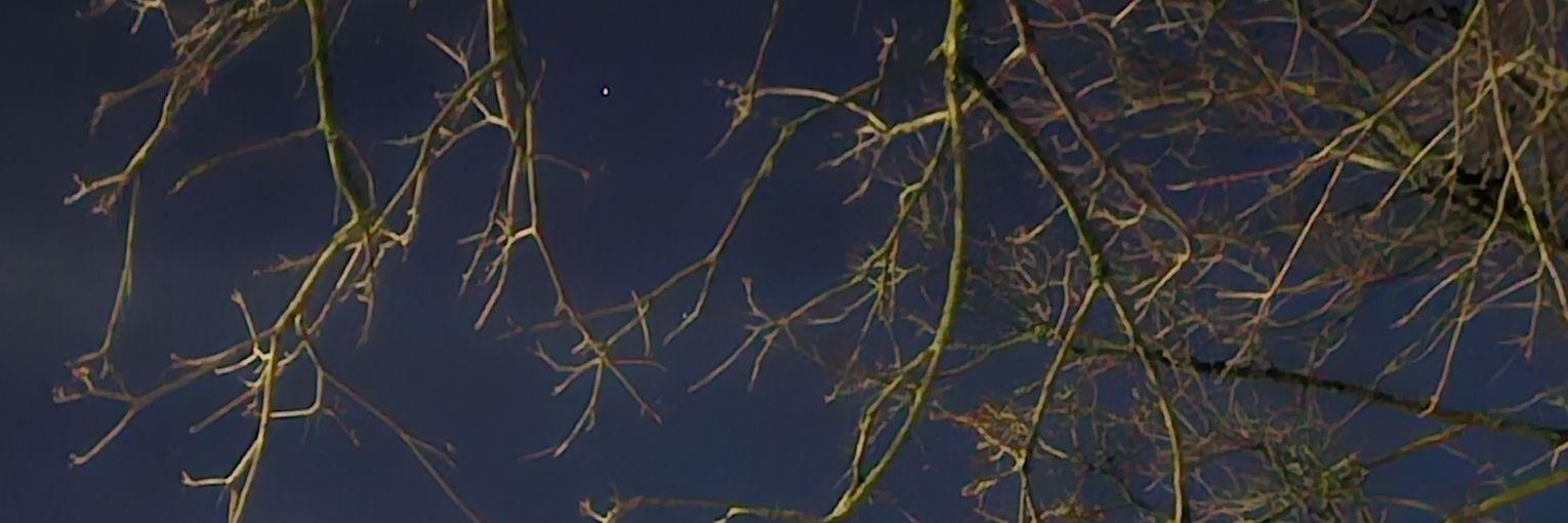 mo0s10's profile banner image