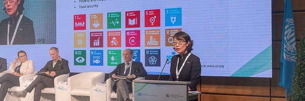 drweiyang Profile Banner