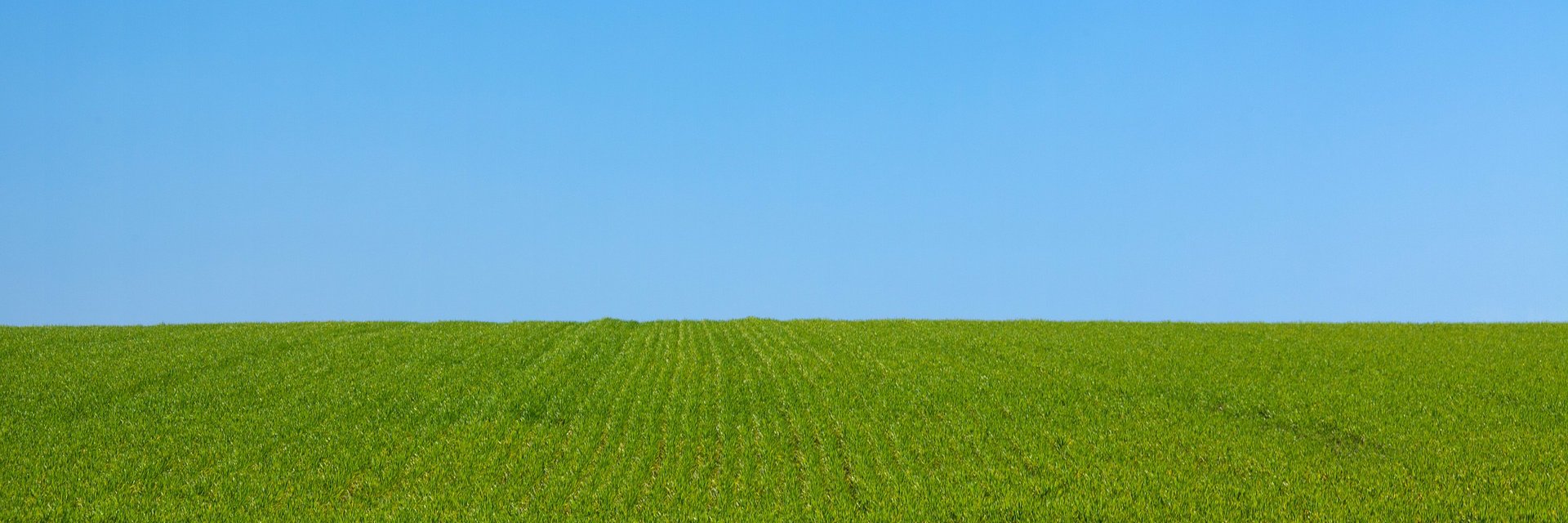 サステップ banner