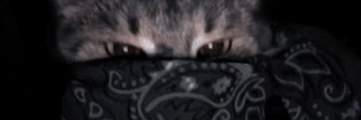 eyosheik's profile banner image