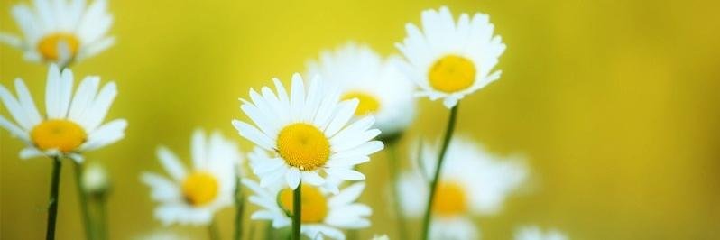 Cristinaft92's profile banner image