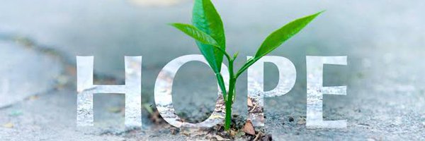 timmosion Profile Banner