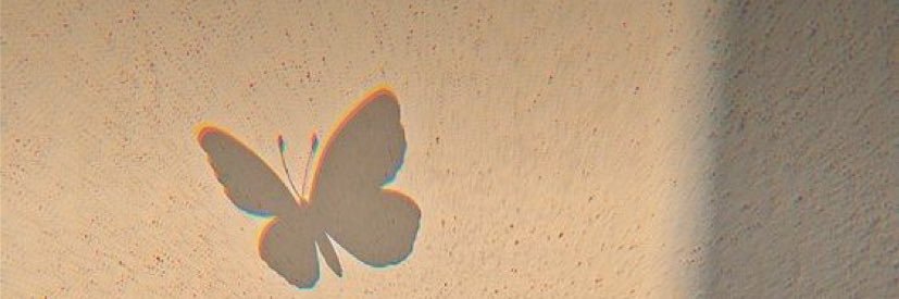Nikita🦋 banner