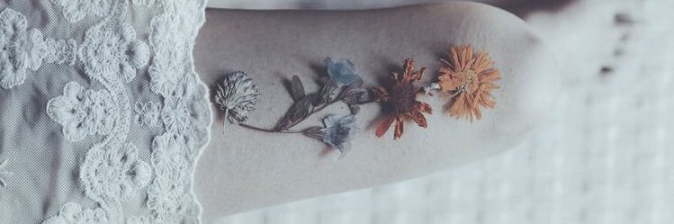 𝑷𝒉𝒐𝒆𝒏𝒊𝒙 ༄ banner