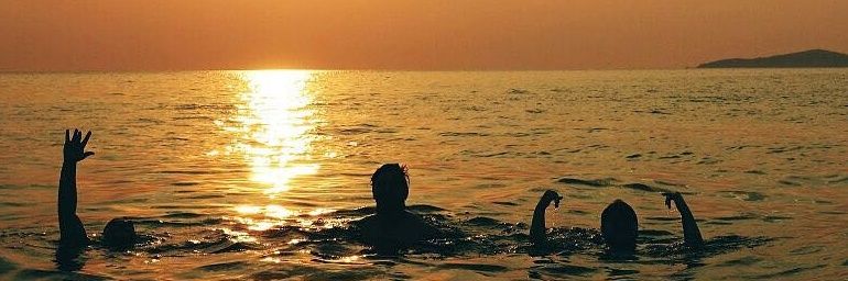 Dr Tim Hardie banner