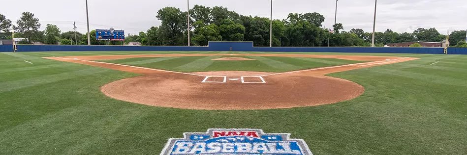 Austin Lippolis banner