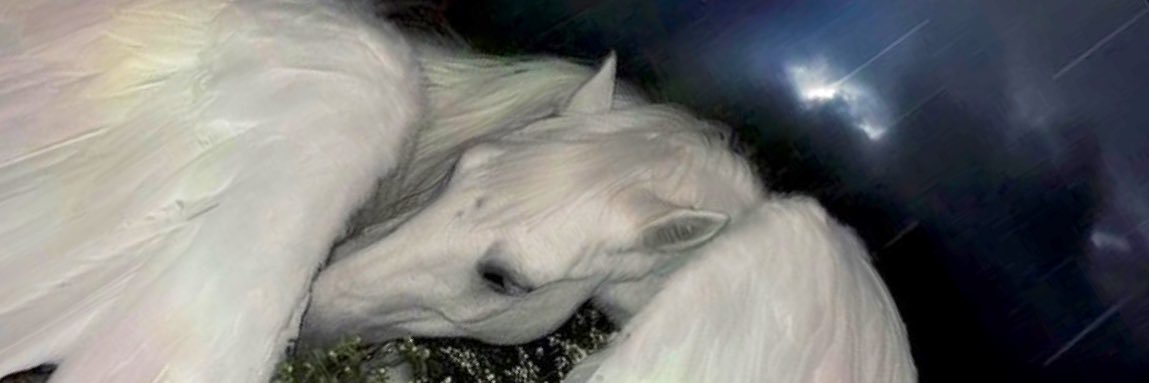 jadefrooot's profile banner image