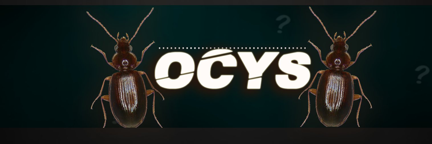 ocys1's profile banner image