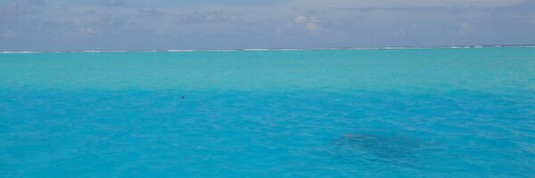 TuraudBertrand Profile Banner