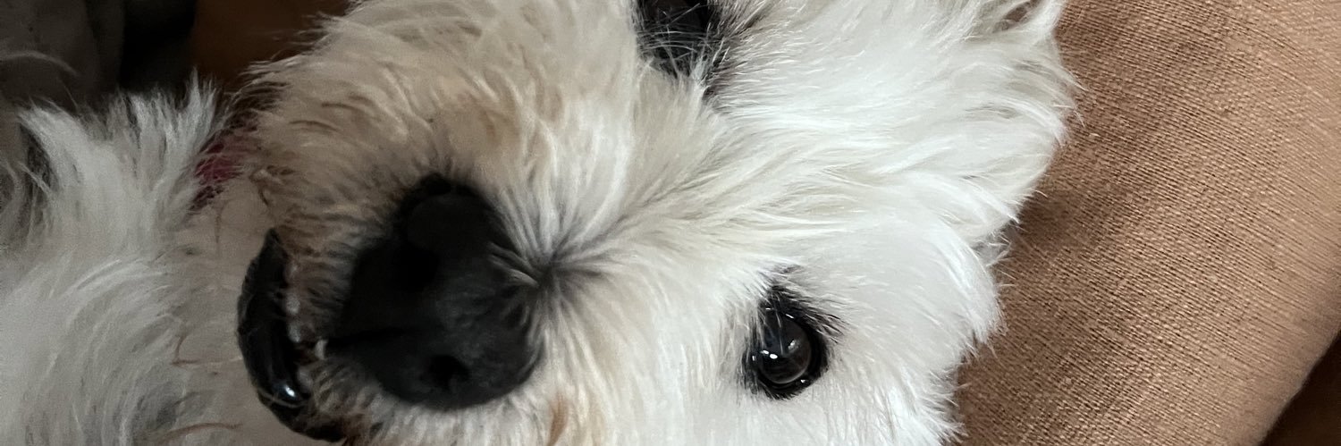 MissCcrowfoot's profile banner image