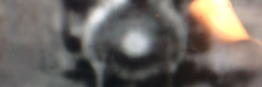 Aut31376126's profile banner image